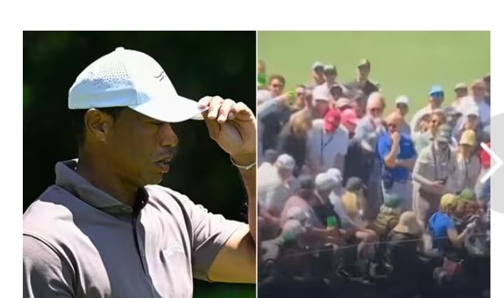 Tiger Woods accidentally hits spectator with errant shot at The Masters, causing them……..