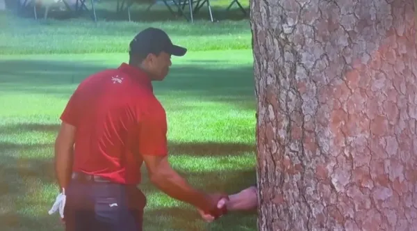 Revealed: Exactly what Tiger Woods told Augusta National tree at The Masters