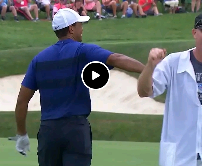 Unforgettable Moment: Tiger Woods Electrifies the Crowd with a Spectacular Hole-Out Eagle at the 2018 Memorial Tournament