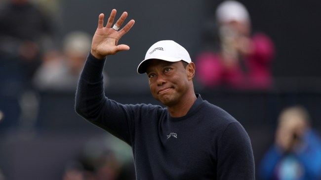 Tiger’s injury-cursed season halted after surgery