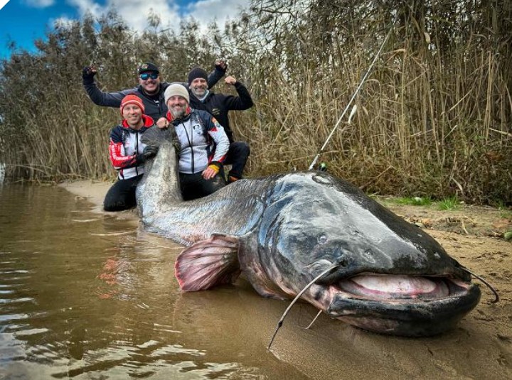 Nowy rekord świata złowiony w Polsce! Największa ryba w historii. “To wstrząs”