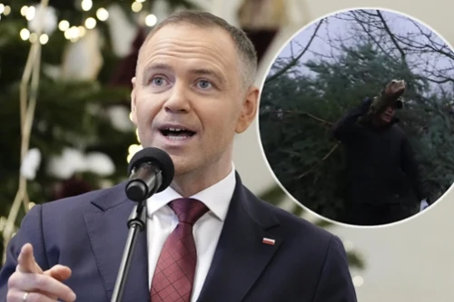 Karol Nawrocki ruszył do lasu z siekierą. Do pałacu wrócił z choinką, sieć obiegło nagranie