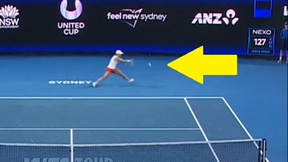 Piłka idealna. Rywalka Igi Świątek rzuciła się, ale to wszystko na nic [WIDEO]